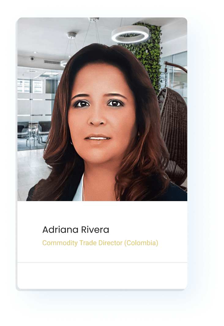 Adriana-Rivera-Platform-Ideas