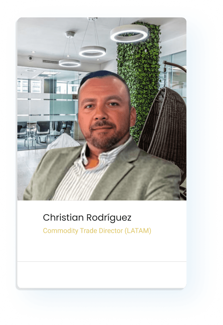 Christian-Rodriguez-Platform-Ideas