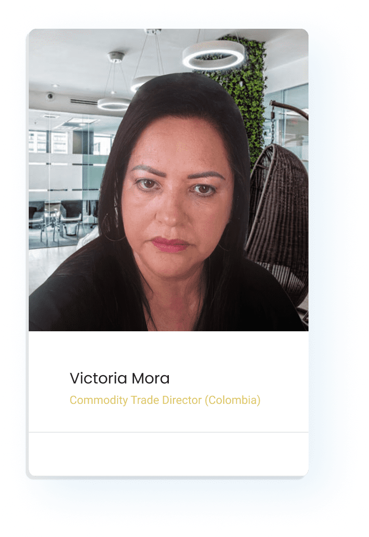 Victoria-Mora-Platform-Ideas