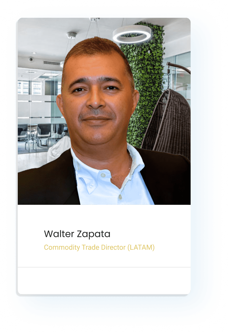 Walter-Zapata-Platform-Ideas